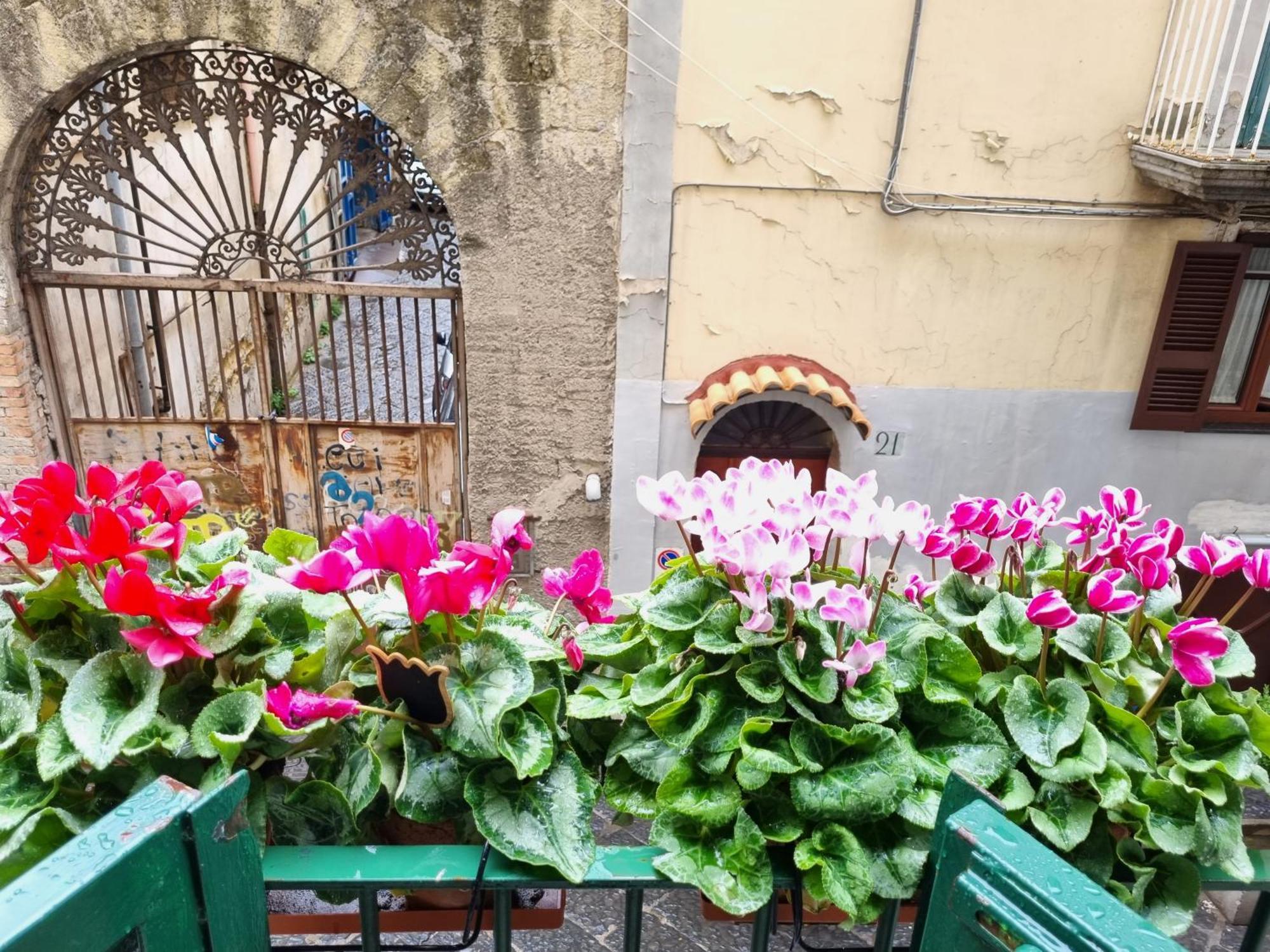 Apartmán La Casa Di Domi Neapol Exteriér fotografie